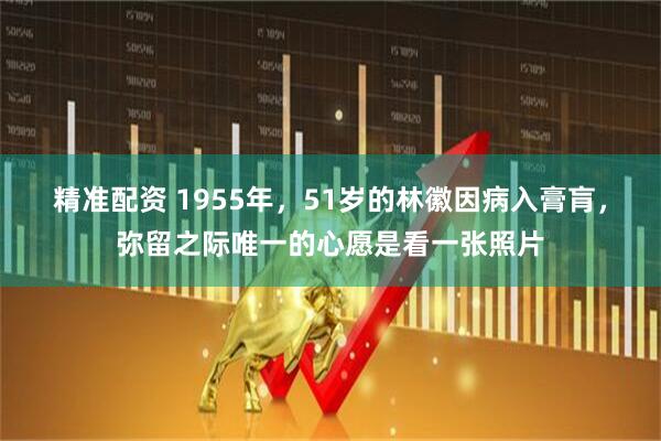 精准配资 1955年，51岁的林徽因病入膏肓，弥留之际唯一的心愿是看一张照片