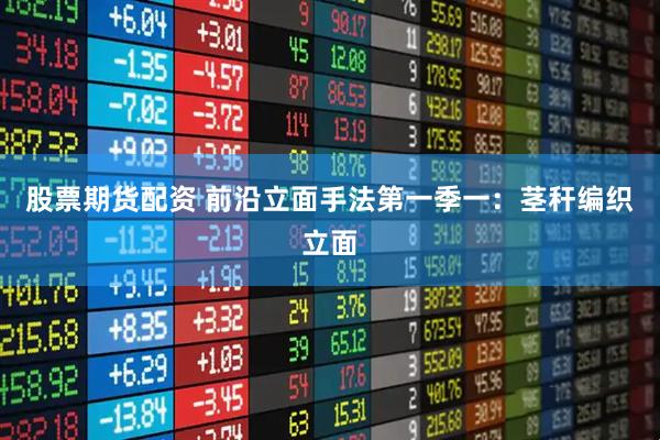 股票期货配资 前沿立面手法第一季一：茎秆编织立面