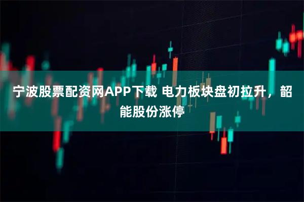 宁波股票配资网APP下载 电力板块盘初拉升，韶能股份涨停